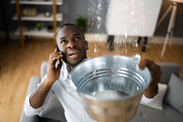 Best Water damage mitigation services  in Woxall, PA
