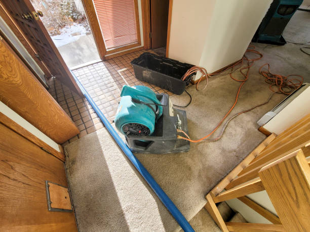 Best 24/7 water damage repair  in Woxall, PA