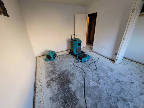 Best 24/7 water damage repair  in Woxall, PA