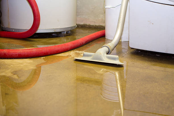 Best Professional water damage repair  in Woxall, PA