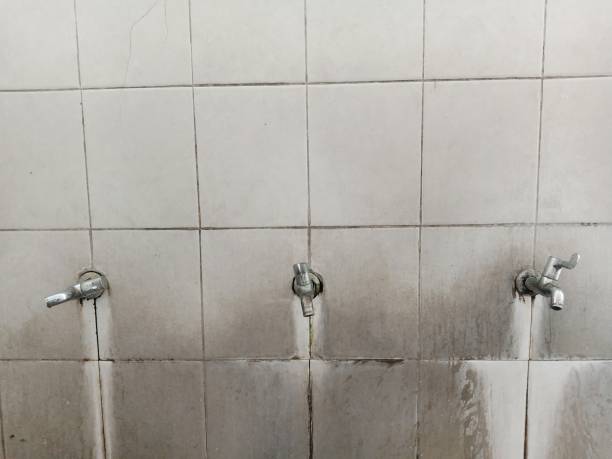 Best Mold removal after water damage  in Woxall, PA